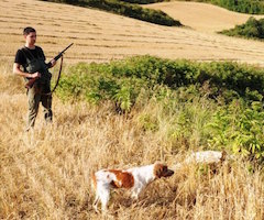 Abierto el plazo de solicitud para obtener licencia de caza en Castilla-La Mancha
